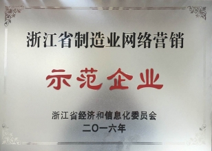 浙江省制造業(yè)網(wǎng)絡(luò)營銷示范企業(yè)